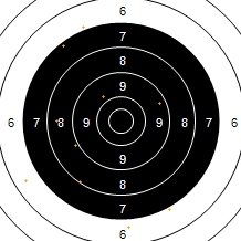 Target Image