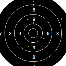 Target Image