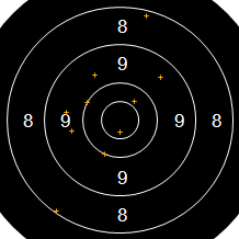 Target Image