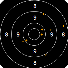 Target Image