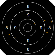Target Image