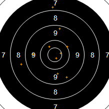 Target Image