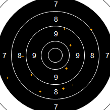 Target Image