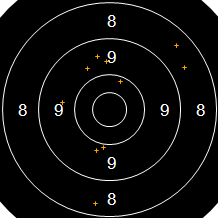 Target Image