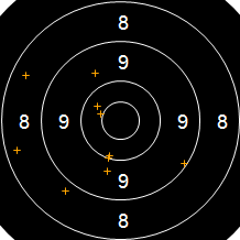 Target Image