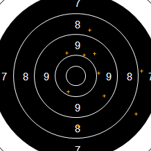 Target Image