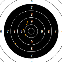 Target Image