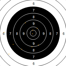 Target Image