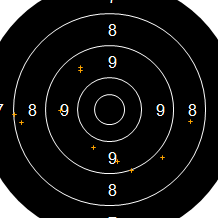 Target Image