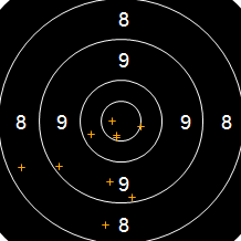 Target Image