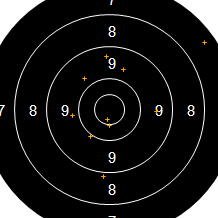 Target Image