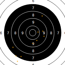 Target Image