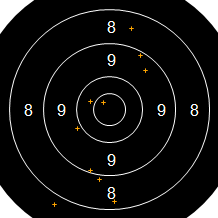 Target Image