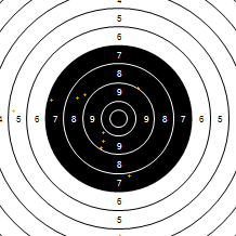 Target Image