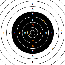 Target Image