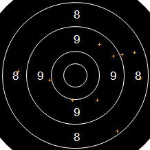 Target Image