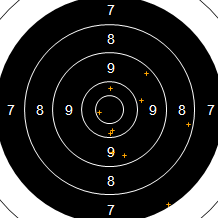 Target Image