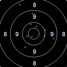 Target Image