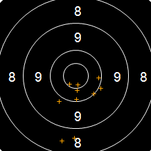 Target Image