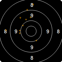 Target Image