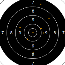 Target Image