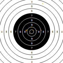 Target Image