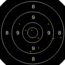Target Image