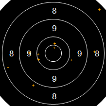 Target Image