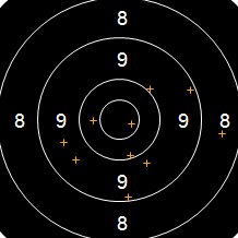 Target Image