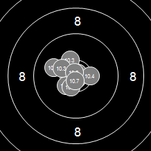 Target Image