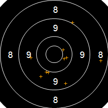 Target Image