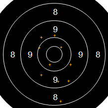 Target Image
