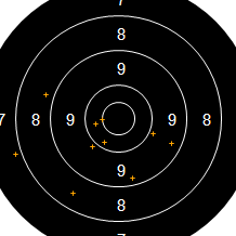 Target Image
