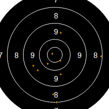 Target Image