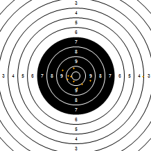 Target Image