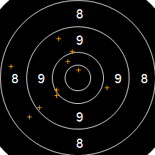 Target Image