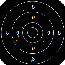 Target Image