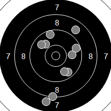 Target Image