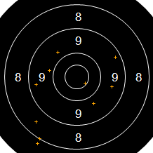 Target Image