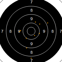 Target Image