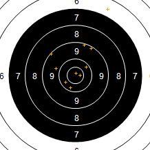 Target Image