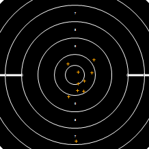 Target Image
