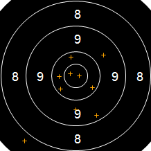 Target Image