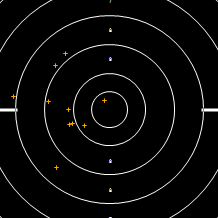 Target Image