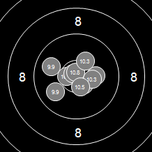 Target Image