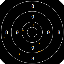 Target Image