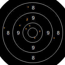 Target Image