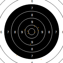 Target Image