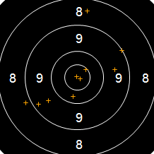 Target Image