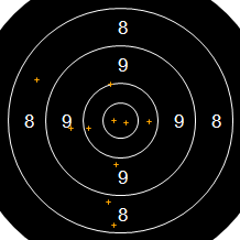 Target Image